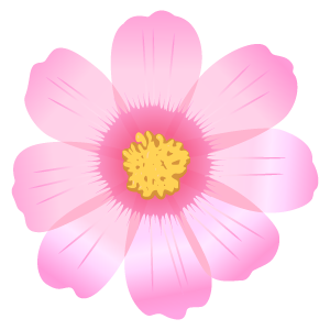すべての美しい花の画像 Hd限定花 イラスト 背景透過