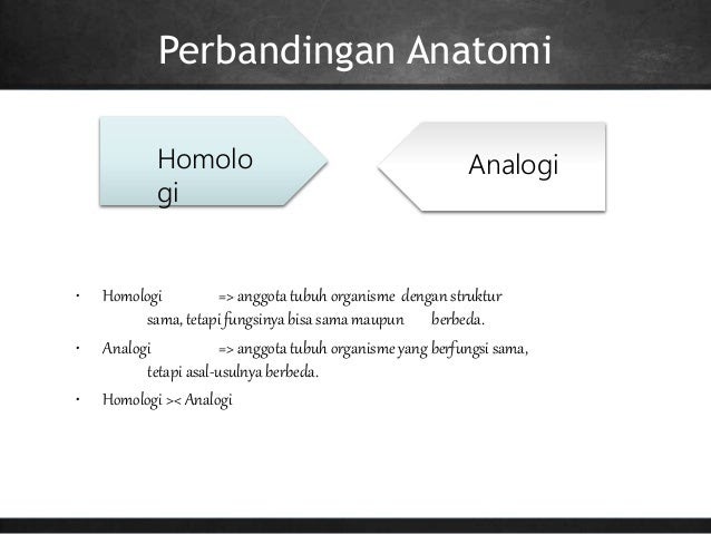 Contoh Analogi Homologi - Contoh 0208