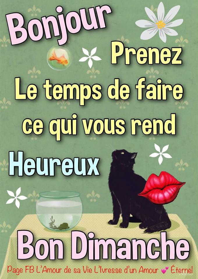 Bon Anniversaire Humour Gif