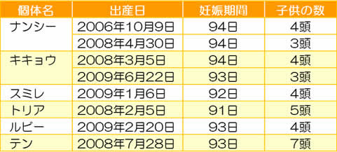 最新妊娠期間 動物 最高の動物画像