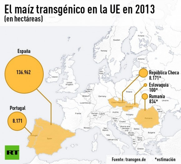 maiz trangenico en la ue