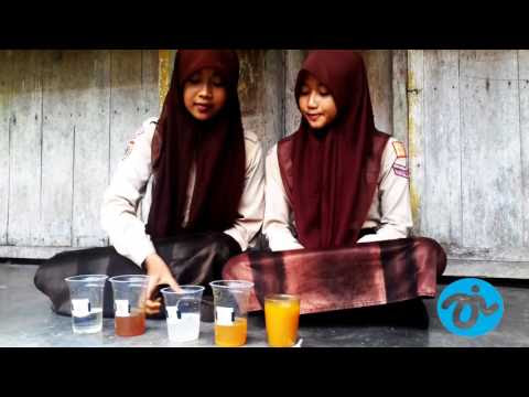 Kulit Manggis Sebagai  Indikator  Asam  Basa 