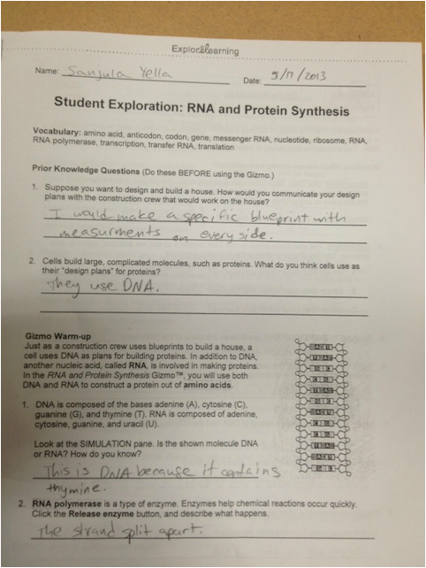Rna and protein synthesis gizmo flashcards | quizlet dna, rna, protein synthesis practice test draft. Protein Synthesis Qizmo Sanjula S Interactive Science Notebook