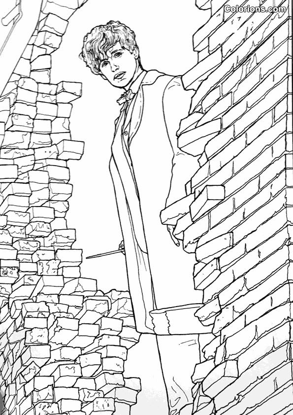 Frank The Thunderbird Fantastic Beasts Adult Coloring Page Doodle
