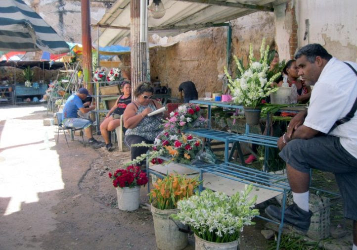 Área de venta de flores (Foto: Vladimir Turró)