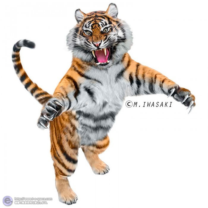 すべての動物の画像 50 素晴らしい虎 イラスト リアル