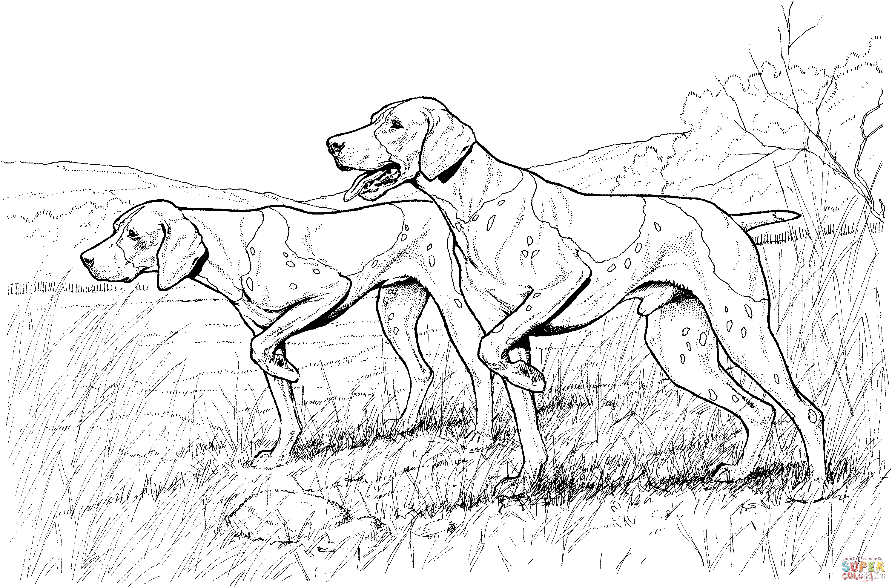 Verse Kleurplaten Honden Duitse Herder Krijg Duizenden