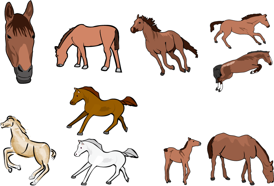 最新のhd馬 イラスト フリー素材 かわいいディズニー画像