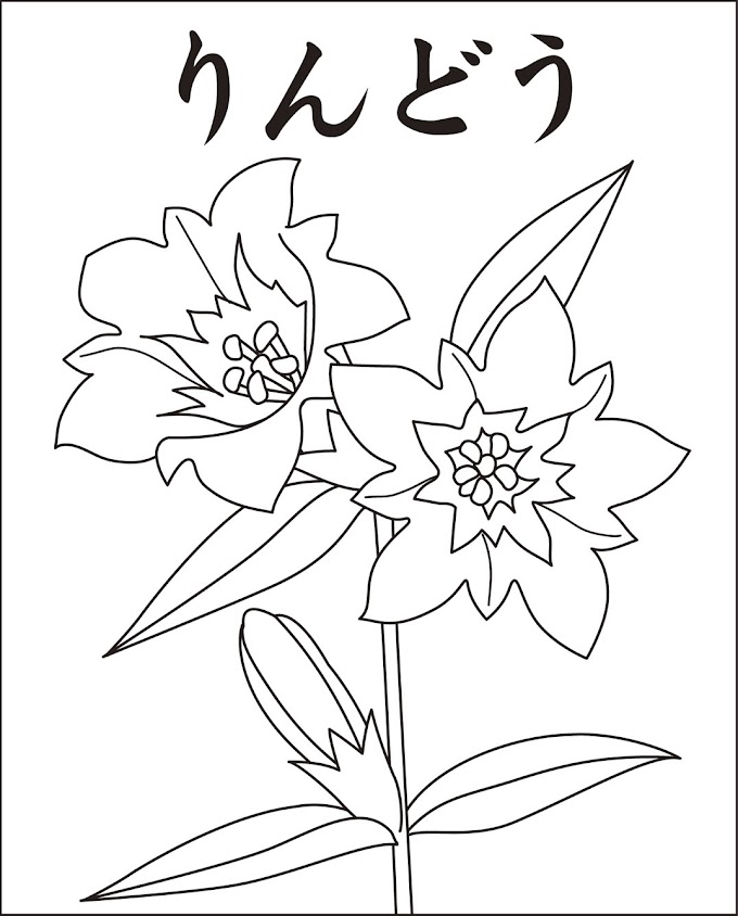 エレガント塗り絵 花 高齢 者 - 最高の花の画像