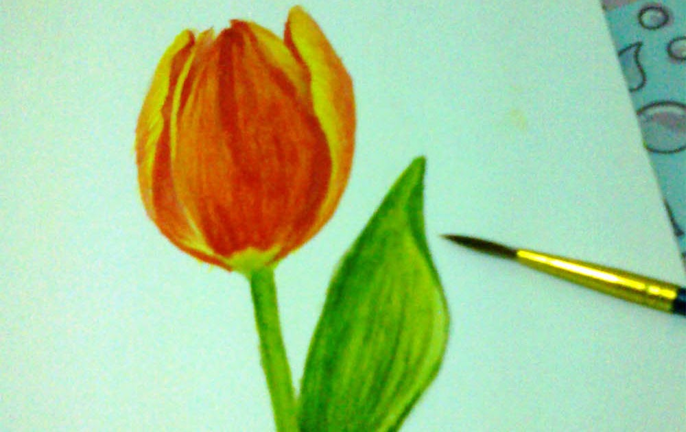 Paling Populer 14 Lukisan Bunga Tulip Dari Pensil 