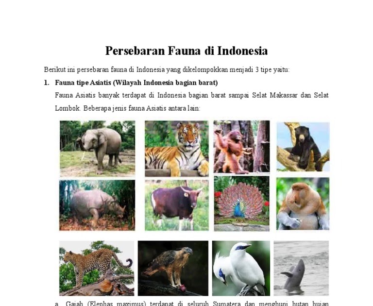 Fauna Yang  Terdapat Di  Indonesia  Bagian Barat Berbagai 