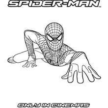 They enjoy it, and it can also be a great way of teaching them about certain things. Spider Man Coloring Pages 39 Free Superheroes Coloring Sheets