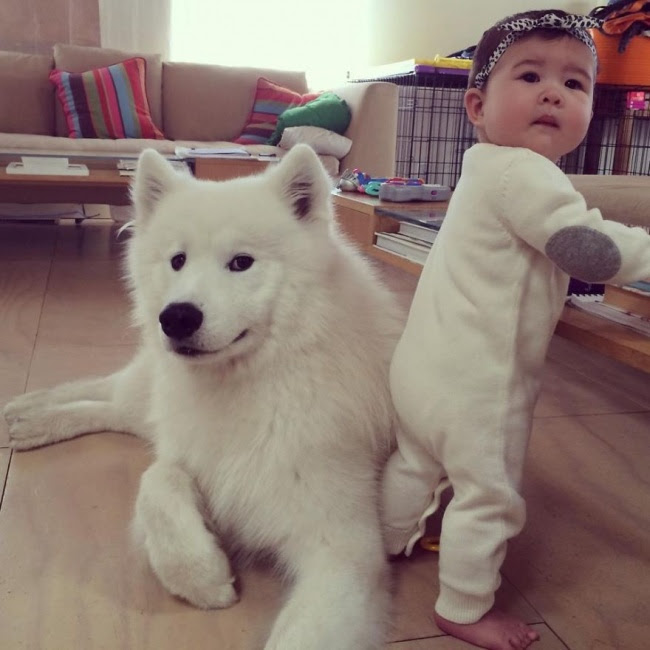 http://s.fishki.net/upload/post/201412/02/1339454/10384060-r3l8t8d-650-small-babies-children-big-dogs-27__880.jpg