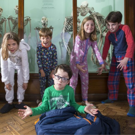 Children having fun in front of the skeleton case  in the Natural History Gallery