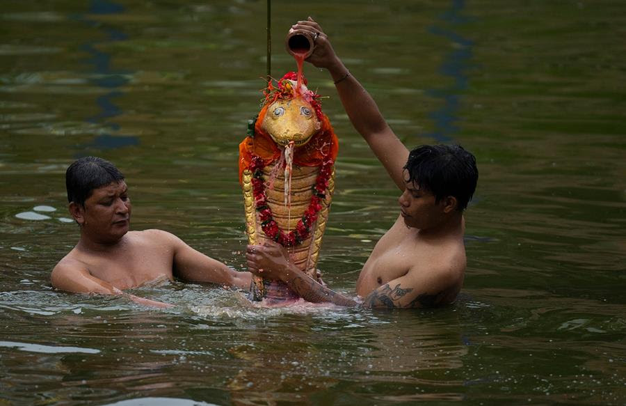 Hindu devotees worship a statue of the serpent god, Nag, in a pond. The state of the serpent god, Nag, is golden.