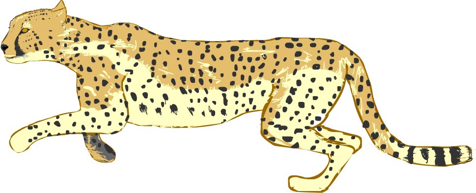 100 チーター イラスト かわいい かっこいい無料イラスト素材集