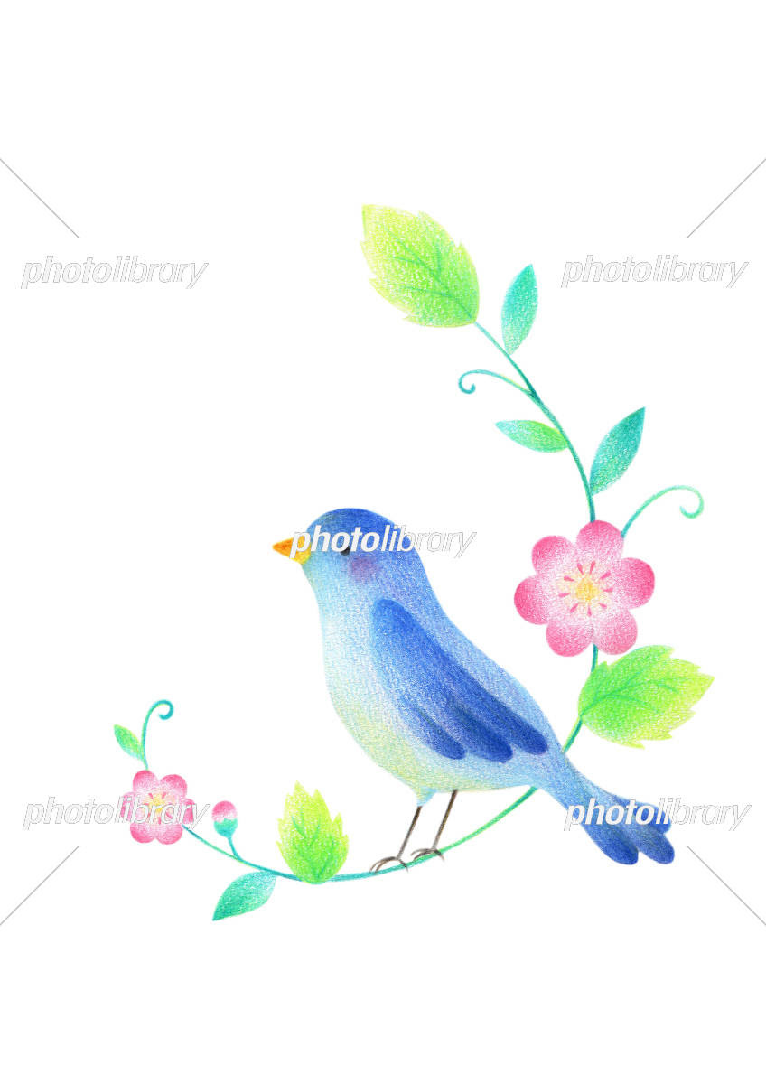 美しい花の画像 50 おしゃれ 小鳥 イラスト かわいい