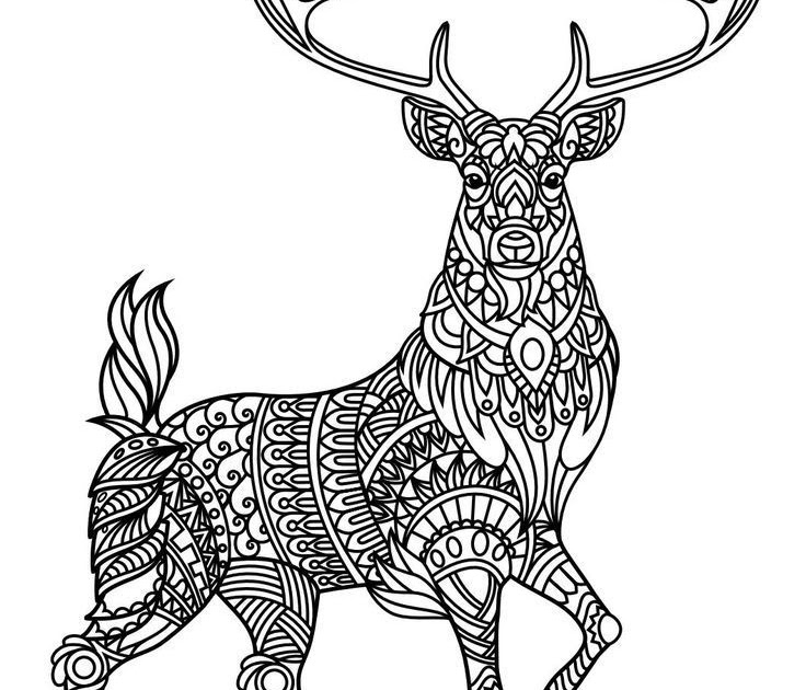 Christmas Reindeer Adult Coloring Pages - Jesyscioblin