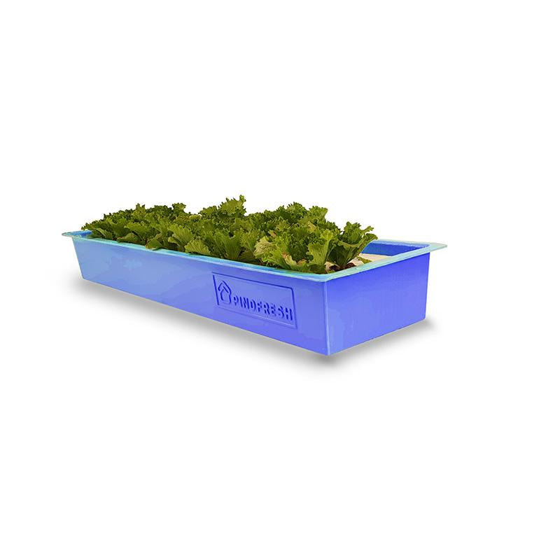 Aquaponics Kit In India - aquaponic