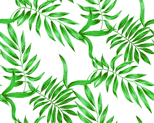 最新 ハワイの葉っぱ ハワイの葉っぱ イラスト Michaelbelljp