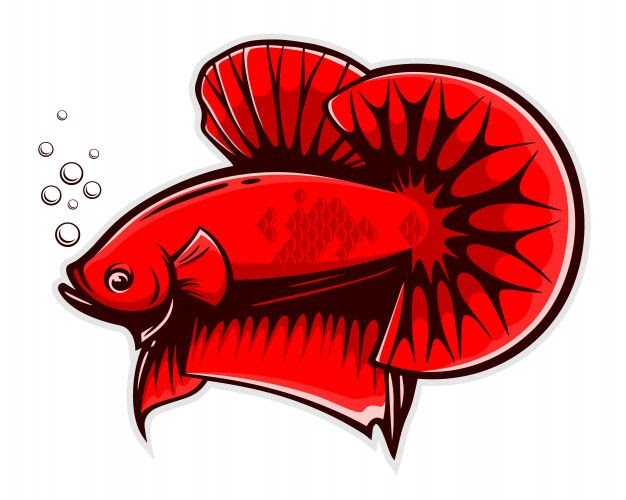 Logo Ikan Cupang Vector Png - Logo Mania