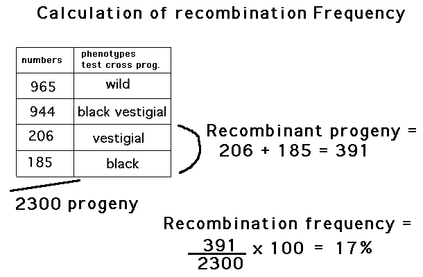 Genes that are less than 50% recomb. Chapter05