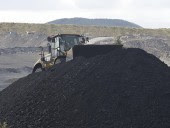 The report says  demand for coal will increase