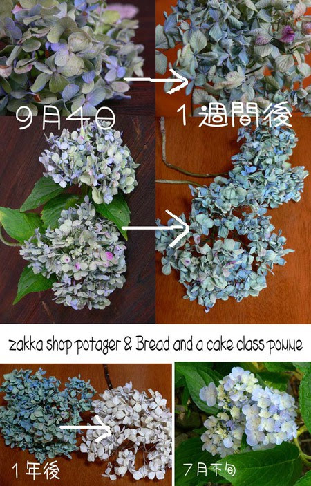 Apictnyohscpj 印刷 ドライフラワー 紫陽花 作り方 紫陽花 ドライフラワー 作り方 車