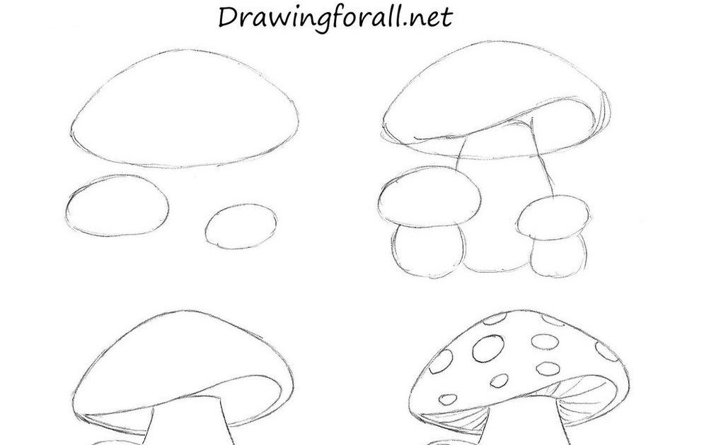 35 Ideas For Mushroom Drawing Easy For Kids