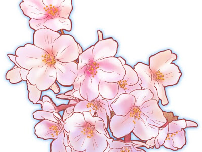√完了しました！ リアル 花 イラスト フリー 681109