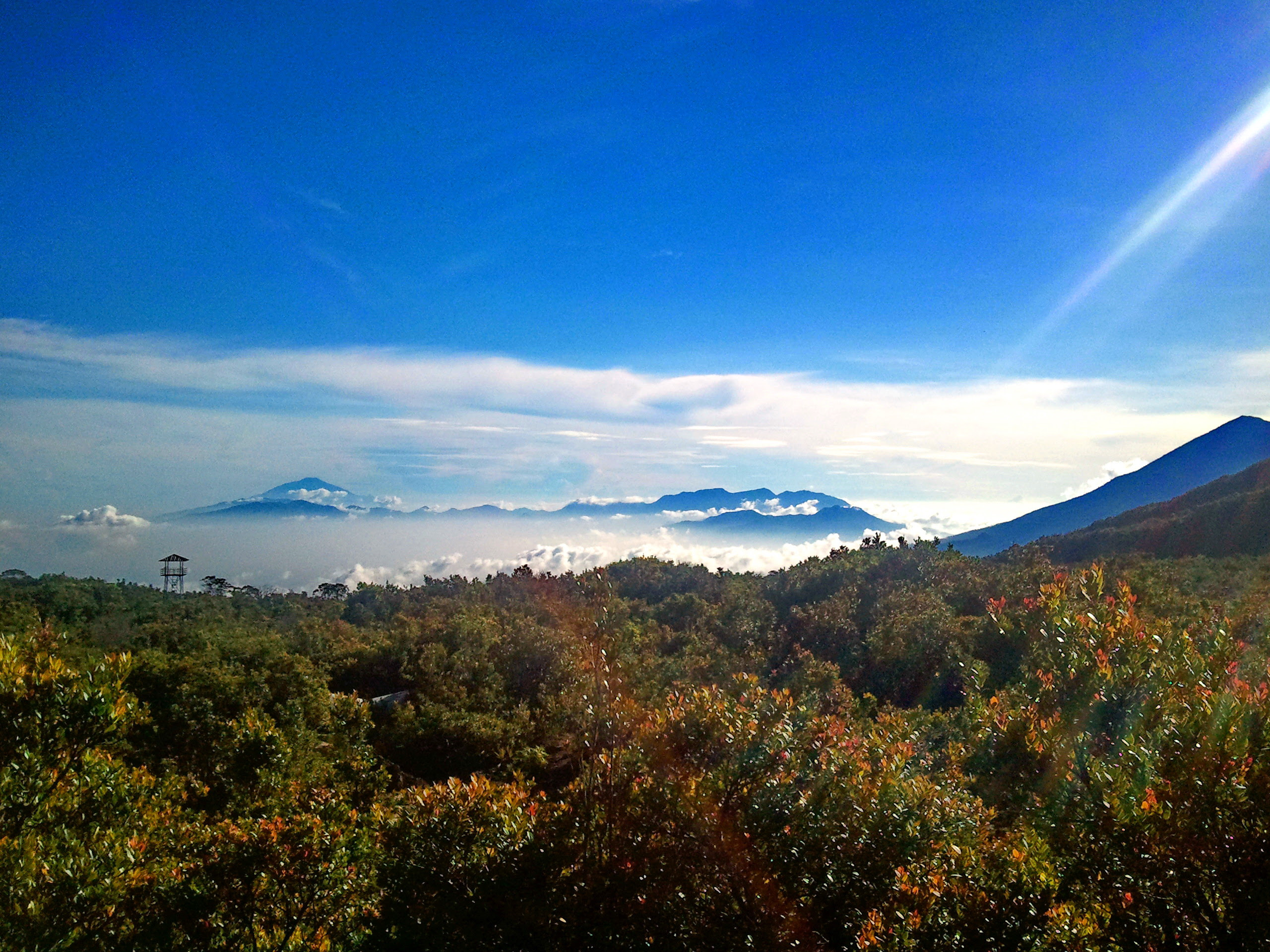 49 Gambar Pemandangan Gunung Di Pagi Hari