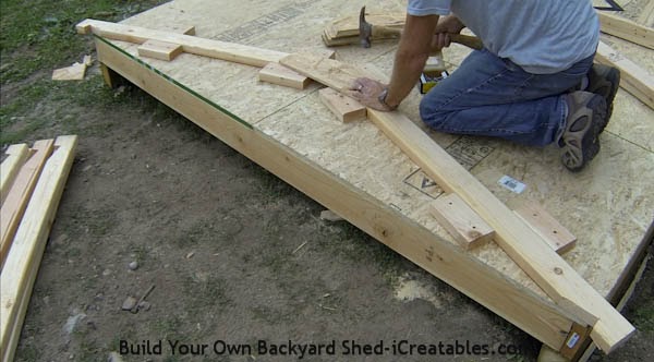 the questions build shed using plywood fortan