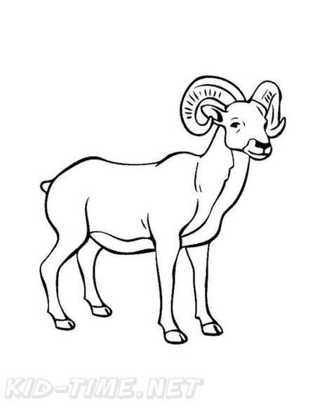 You can print or color them online at getdrawings.com for absolutely free. Bighorn Sheep Ram Coloring Book Page Free Coloring Book Pages Printables