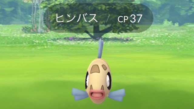 ポケモン サファイア ミロカロス 100 で最高の画像