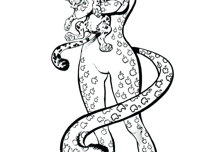 Download Baby Leopard Coloring Pages Color And Drawing