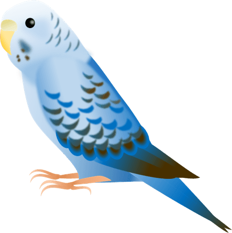 最も検索された セキセイ インコ イラスト 無料 写真素材 フォトライブラリー