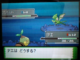 最高 ポケモン プラチナ ポッチャマ 100 で最高の画像