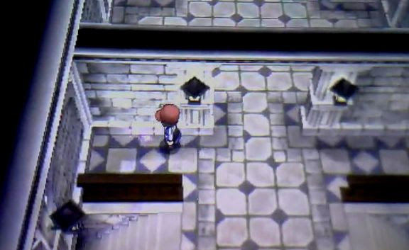 ポケモン Xy タブンネ ナイト 入手 方法