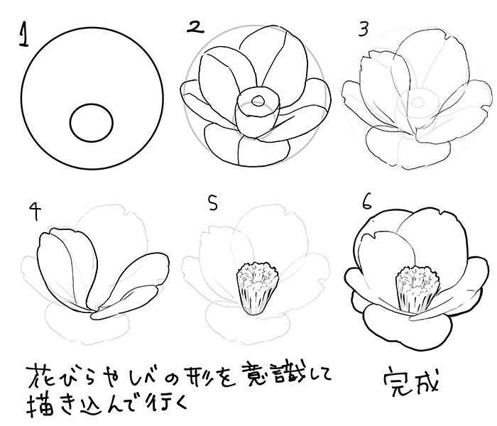 50 花束 イラスト 手書き ボールペン Jppngmuryogviic