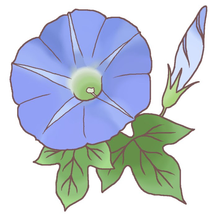 美しい花の画像 ユニークイラスト 夏の花