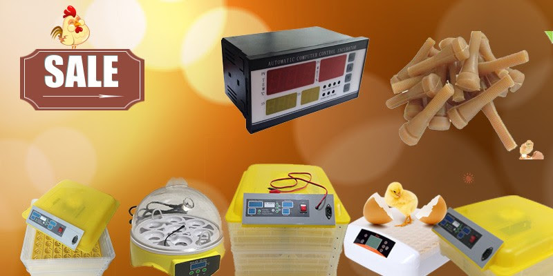 China Manufacturer Egg Incubator Automatic Turning Motor ...