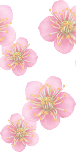 きつく ポルトガル語 軽蔑する 梅 の 花 壁紙 イラスト Smilemarket Jp