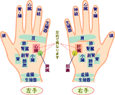 Kasword 手 小指 ツボ