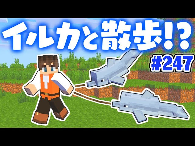 Sejutadollarsebulan6fln 完了しました マイクラ 水族館 マイクラ 水族館 建築