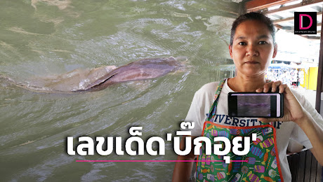 ใครเห็นจะมีโชค! เลขเด็ด บิ๊กอุย พลอดรัก คอหวยแห่ส่อง เชื่อเจ้าที่มาให้โชค | เดลินิวส์