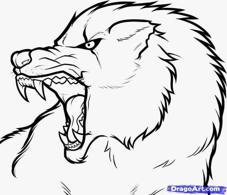 How To Draw A Wolf Face Step By Step Easy Drawing Tutorial Easy