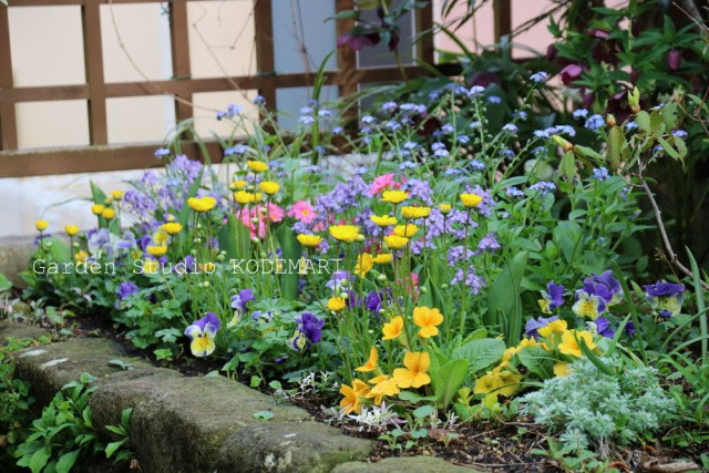 新鮮な2 月 植える 花 美しい花の画像