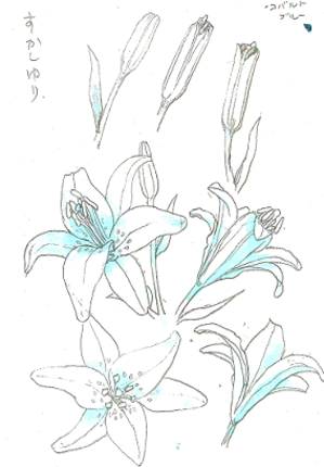 ユリの花 イラスト 2926 ゆりの花 イラスト 簡単