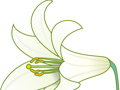 [最も選択された] ゆり の 花 イラスト かわいい 223007