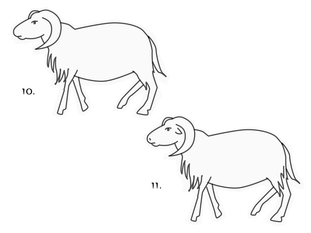 Gambar Domba Untuk Mewarnai N 2